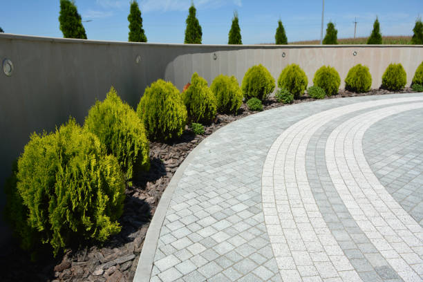 Best Affordable Driveway Pavers  in Lake Belvedere Estates, FL